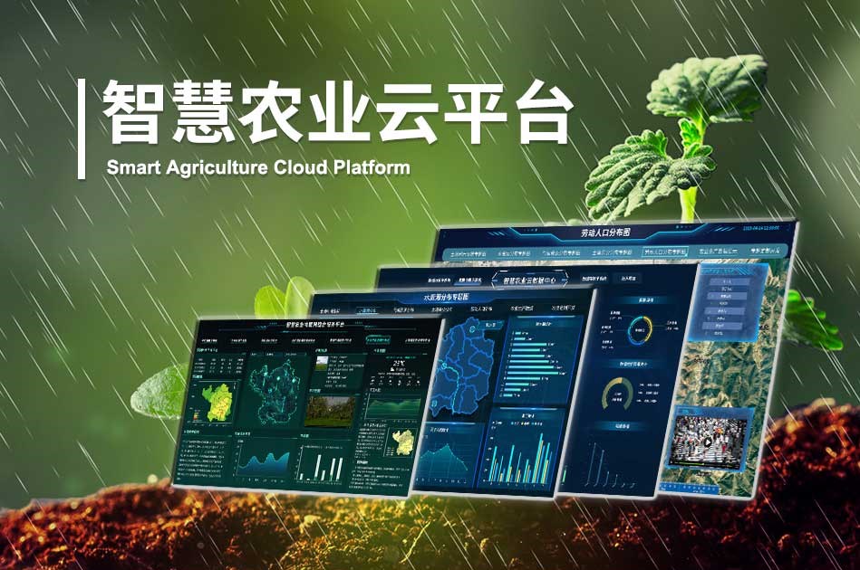 在當今這個科技日新月異的時代，定制化智慧農(nóng)業(yè)解決方案正逐步成為推動農(nóng)業(yè)創(chuàng)新的關(guān)鍵力量。這些解決方案基于先進的物聯(lián)網(wǎng)、大數(shù)據(jù)、人工智能等技術(shù)，針對不同地區(qū)、不同作物、不同生產(chǎn)需求的實際情況，量身定制，為農(nóng)業(yè)生產(chǎn)帶來了前所未有的變革。