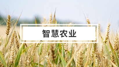 智慧農(nóng)業(yè)解決方案