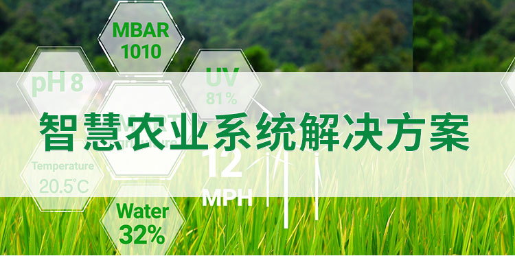 智慧農(nóng)業(yè)